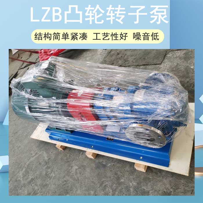 LZB凸輪轉(zhuǎn)子泵